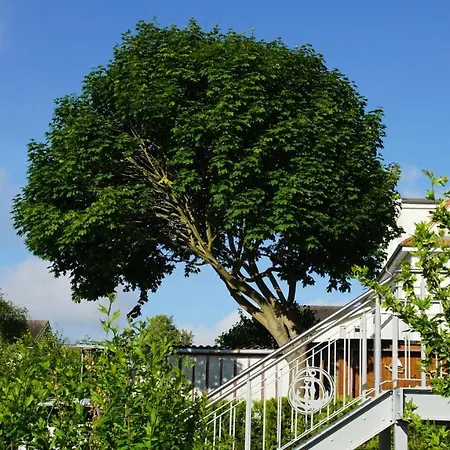 Villa Rosalie Sassnitz Exterior photo